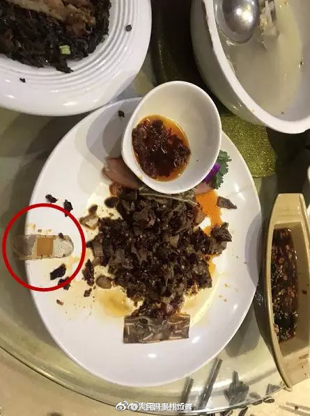 Park rangers teach visitors about fire prevention in wilderness areas