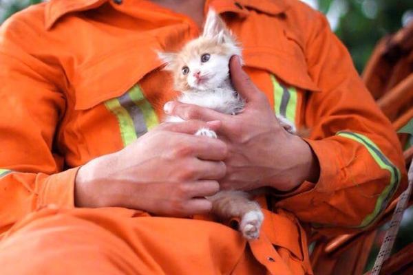 A study found that listening to music while exercising can improve performance by 15%