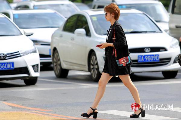 Pet store expands selection of natural pet foods and eco friendly toys