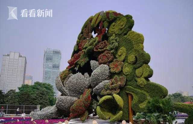 Park rangers lead educational hikes to teach visitors about local flora and fauna