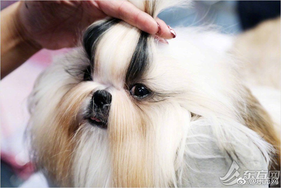 A team of doctors developed a new treatment for lung cancer that improves survival rates by 50%