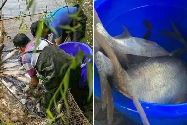 A farm hosted a harvest festival that included hayrides and pumpkin picking for families