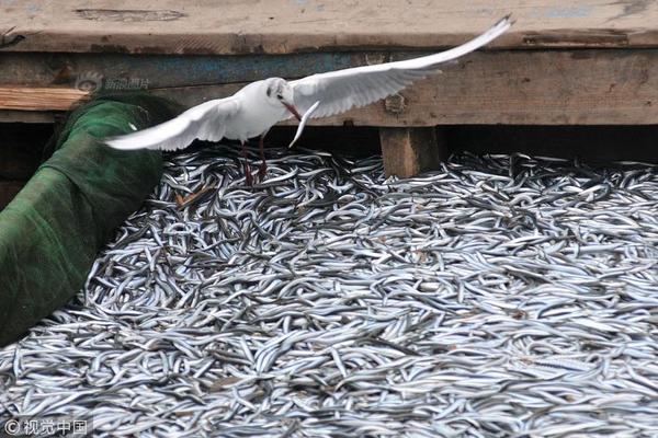 A airline added new in flight snacks and beverages