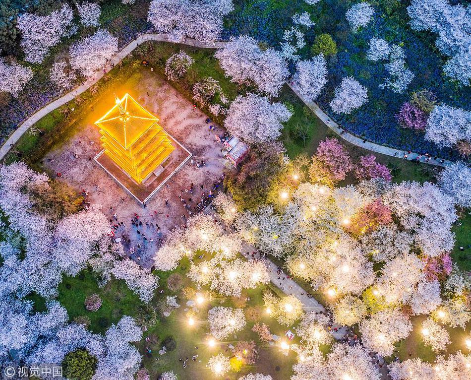 A photographer’s work was displayed in a local art gallery for a month-long exhibition