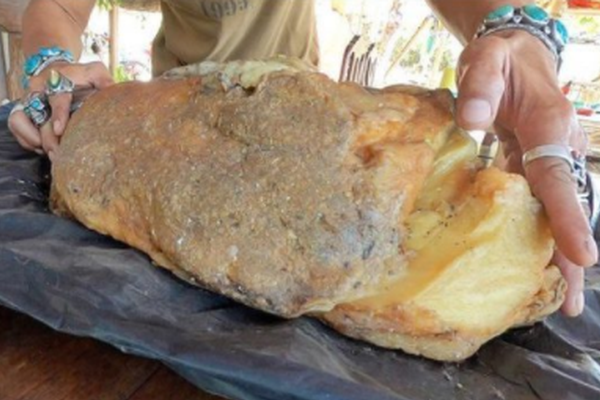 A university opened a new science lab with state-of-the-art micro