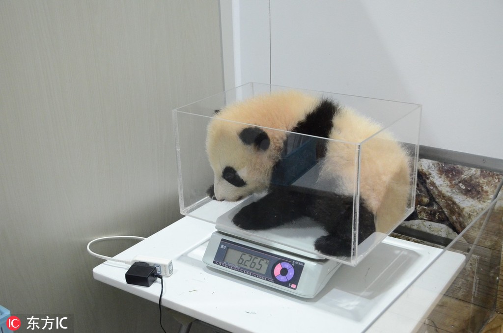 Teachers are learning to use virtual reality tools to make history lessons more engaging