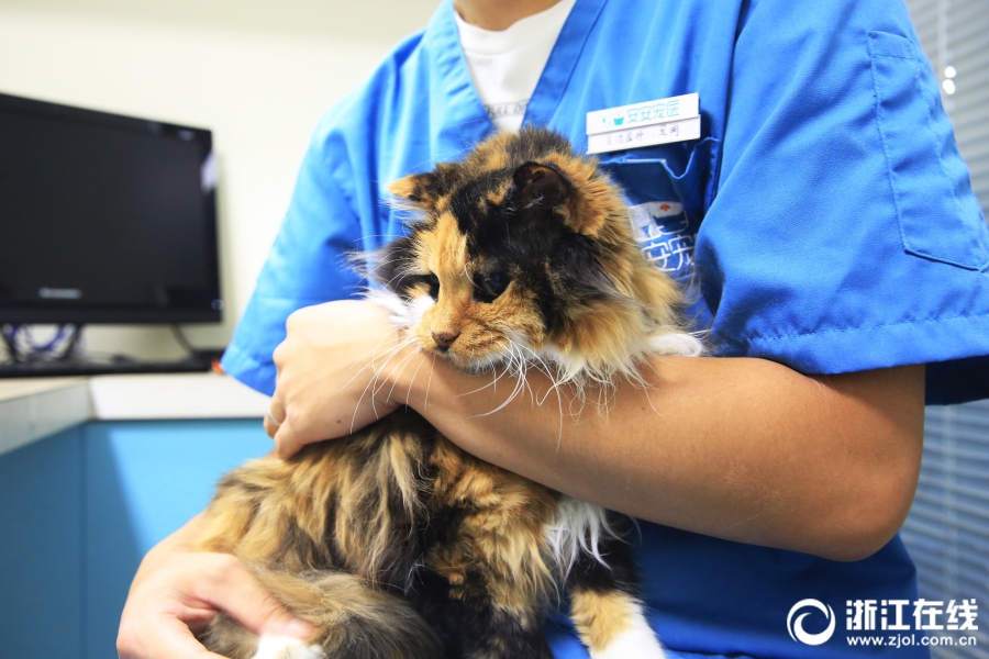 A small business owner started selling handmade jewelry at craft fairs