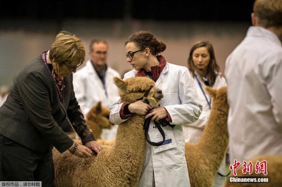 The community center offered free tutoring for students