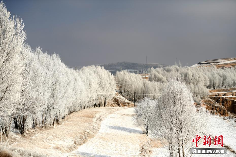 A tech startup launched a smart thermostat that learns user habits and reduces energy costs by up to 25%