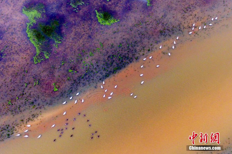 A construction project to renovate an old public library began, with plans to add more digital resources