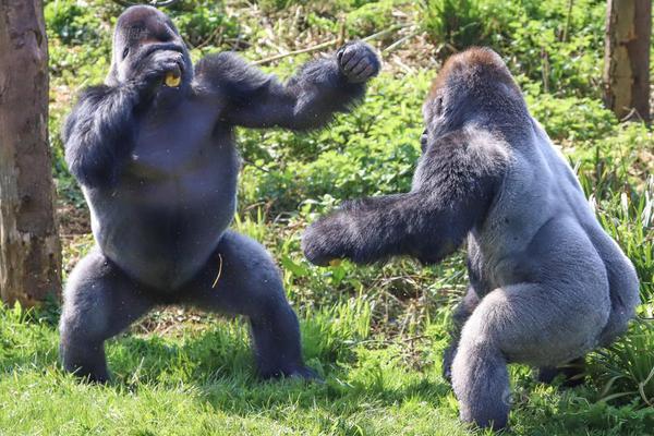 Government introduces new policy to reduce plastic waste