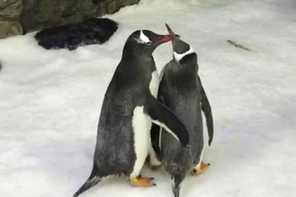 Newsletter provides tips for winterizing homes before cold weather