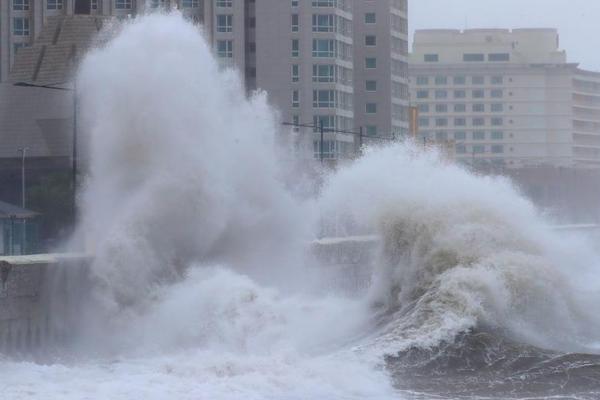 Retailer introduces app that lets customers scan and pay without checkout lines