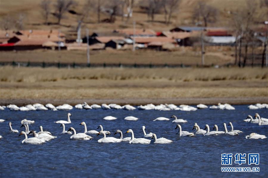 A heatwave in the southwest caused temperatures to reach 105 degrees for seven straight days