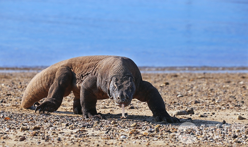 Football league expands playoff format to include 12 teams next season