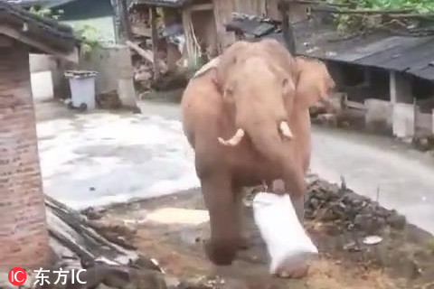 A tech company partnered with a hospital to develop AI software that helps diagnose skin conditions