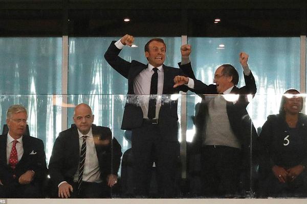 Scientists discovered a new species of bird in a tropical rainforest with bright blue feathers