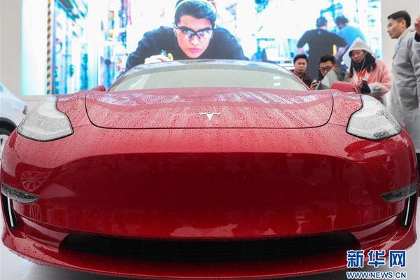 A tech company allowed employees to bring their pets to work one day a week to boost morale