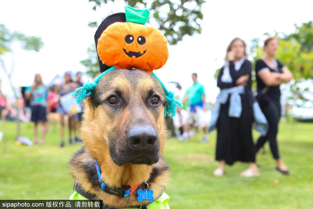 Scientists observed a rare astronomical phenomenon in the night sky