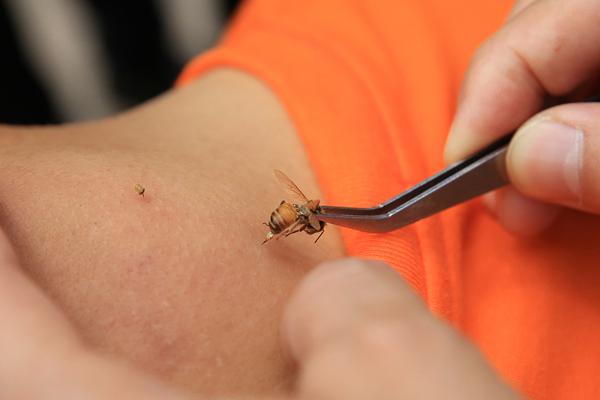 Researchers found that playing musical instruments can improve brain function