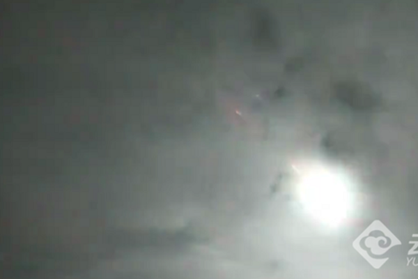 A farm used drones to monitor crop health and reduce pesticide use