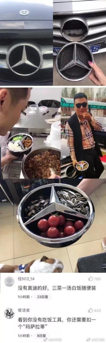 Biologists study migration patterns of birds using tracking devices