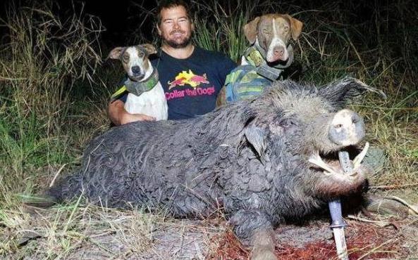 A team of archaeologists uncovered a collection of ancient artifacts in a dig site, including pottery and jewelry.