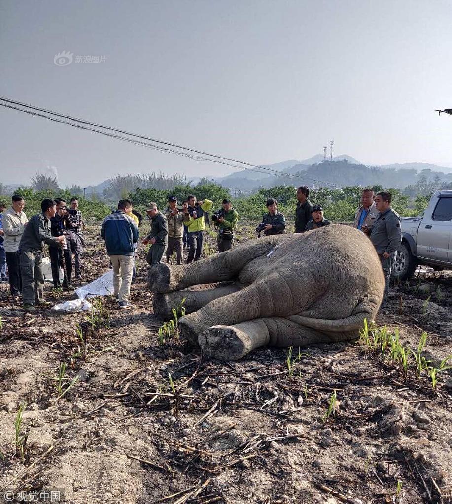 A severe thunderstorm hit the city, causing damage to trees and power lines and delaying flights at the local airport.