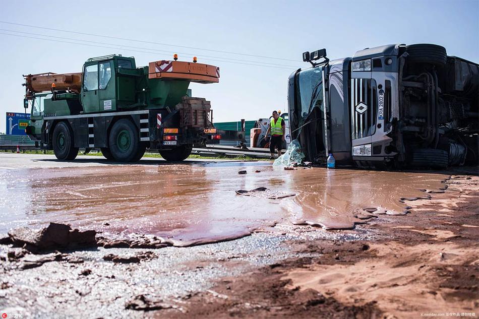 Scientists discovered a new deep-ocean marine species using a remotely operated underwater vehicle