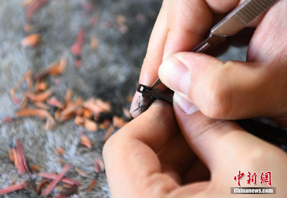 Archaeologists uncovered a collection of ancient artifacts at a dig site including pottery and jewelry