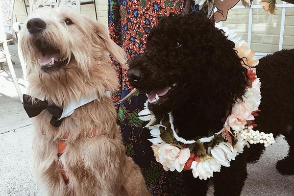 A new messaging app launched with end-to-end encryption for all user conversations