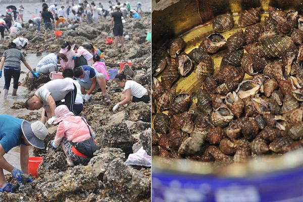 A celebrity chef published a cookbook featuring recipes from their travels around the world