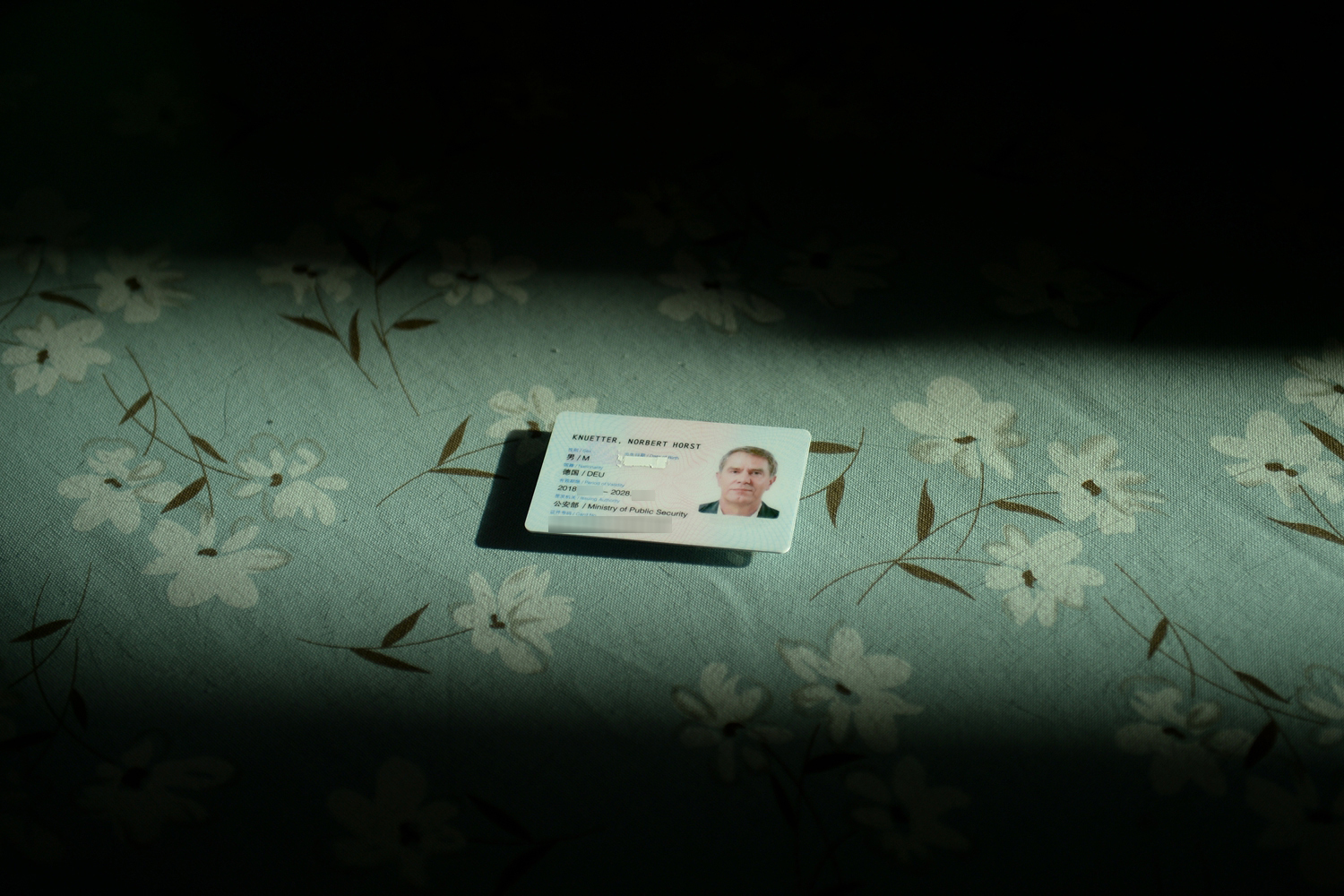 Volunteers planted 12000 trees in a deforested area as part of a reforestation project