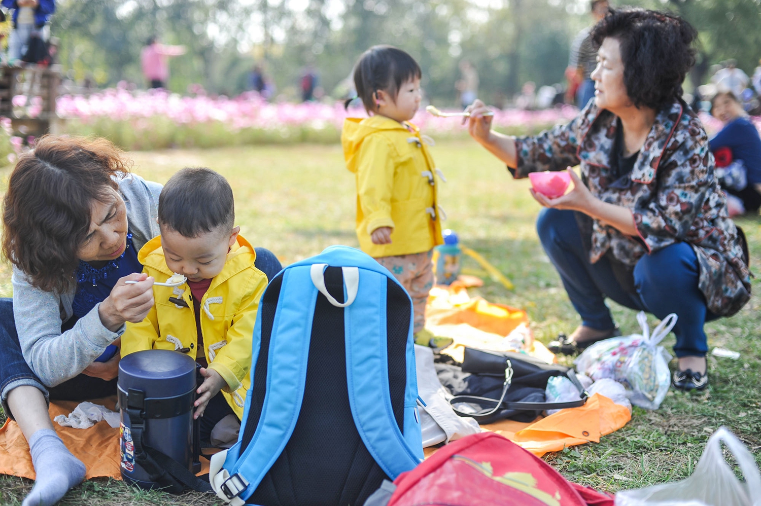 Photography exhibit featuring images of endangered species opens at science center