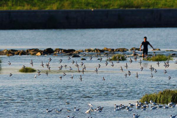 A research team studied the effects of social media on teenage mental health