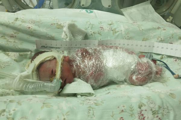 A community garden hosted a 