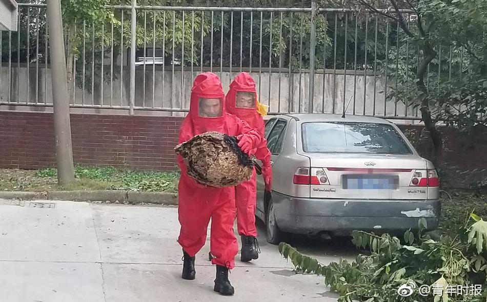 The stock market rose 1.8% after a major pharmaceutical company announced a new drug