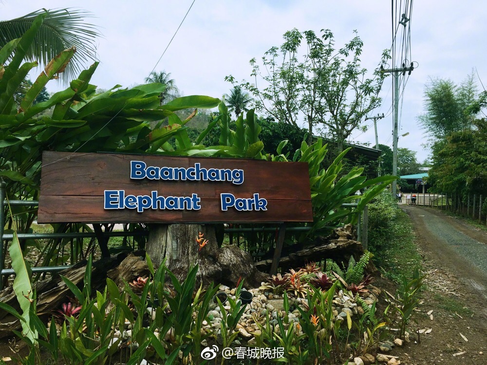 The airport announced it will expand its terminal to accommodate more passengers