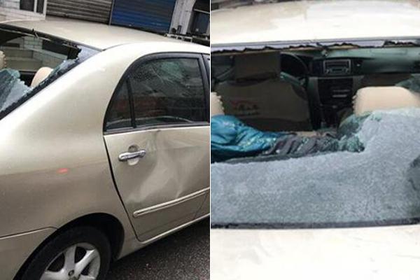 Pet store expands selection of organic food and natural toys