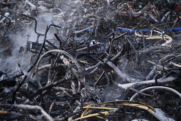 Scientists discovered a new method to clean plastic pollution from oceans