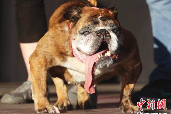 A popular music festival announced its 2024 lineup, featuring award-winning artists from around the world.