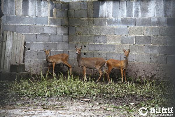 Scientists discovered a way to convert plastic waste into fuel offering a solution to the global plastic pollution crisis