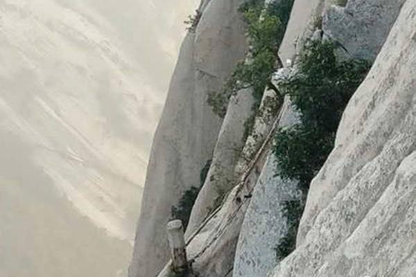 Sheriff’s department uses K9 units to detect illegal substances