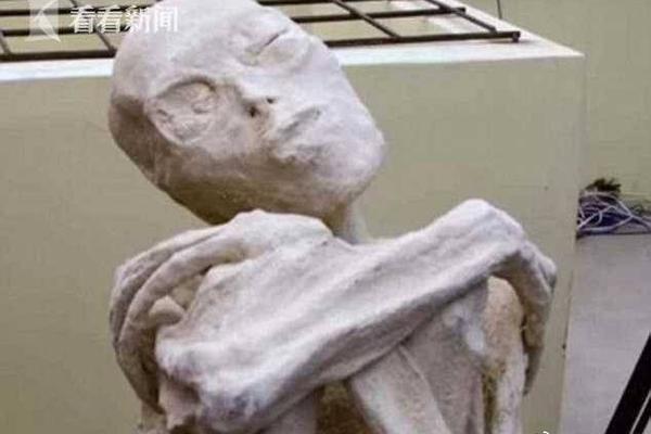 A study revealed that students who take breaks during study sessions retain more information