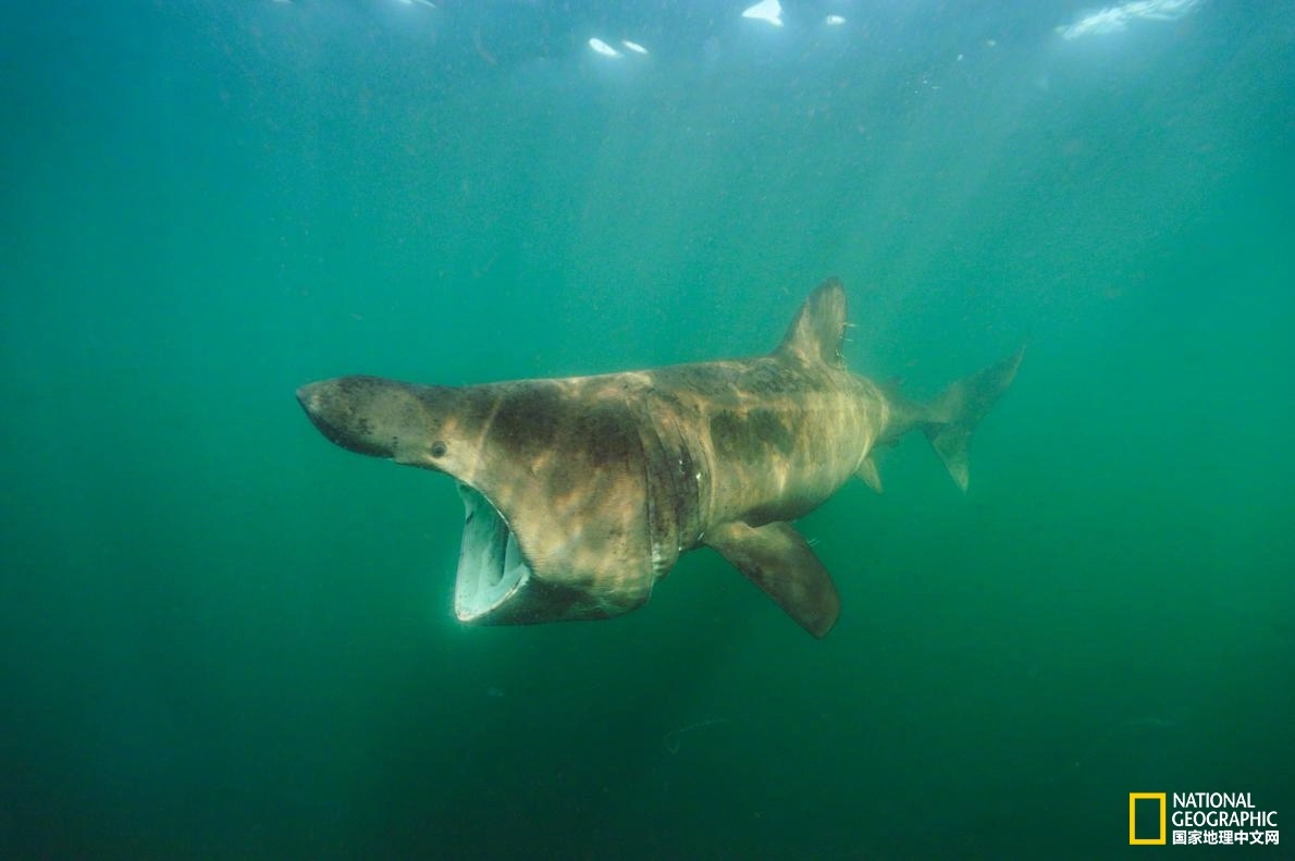 Scientists developed a new method to grow vegetables in space using recycled water