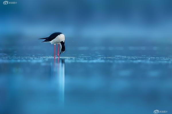 A community organized a cultural heritage day to celebrate the area’s indigenous history