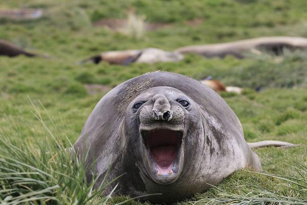 A government agency launched a campaign to prevent cyberbullying among teens