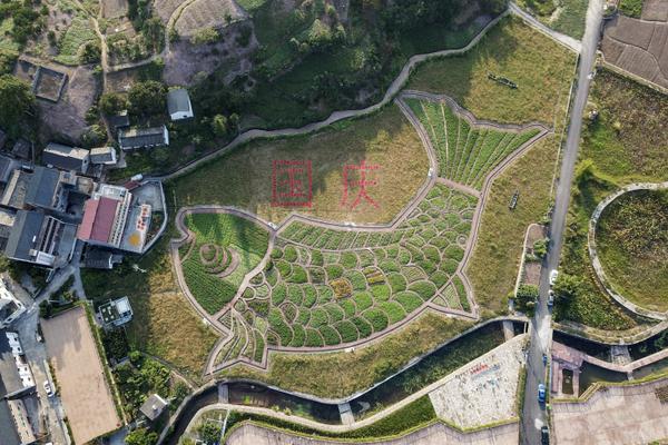 A fashion designer collaborated with a popular influencer to create a limited-edition clothing line