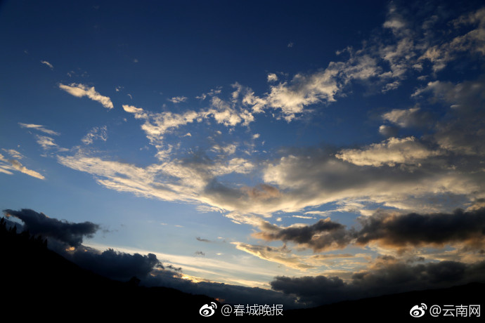Local farmers markets started selling homemade jams and preserves made from local fruits