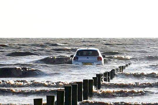 Study shows that spending time gardening reduces stress hormones in adults